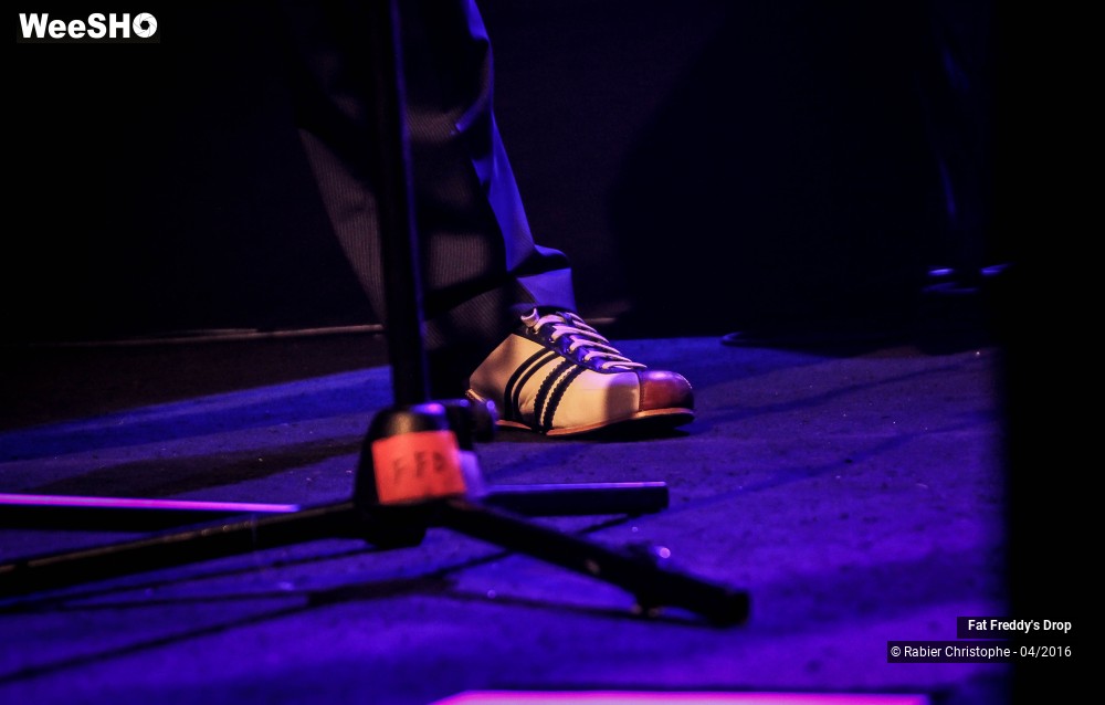 27/31 photos du spectacle Fat Freddy's Drop