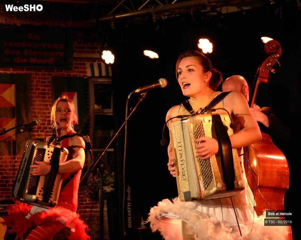 1/19 photos du spectacle Bob et Hercule