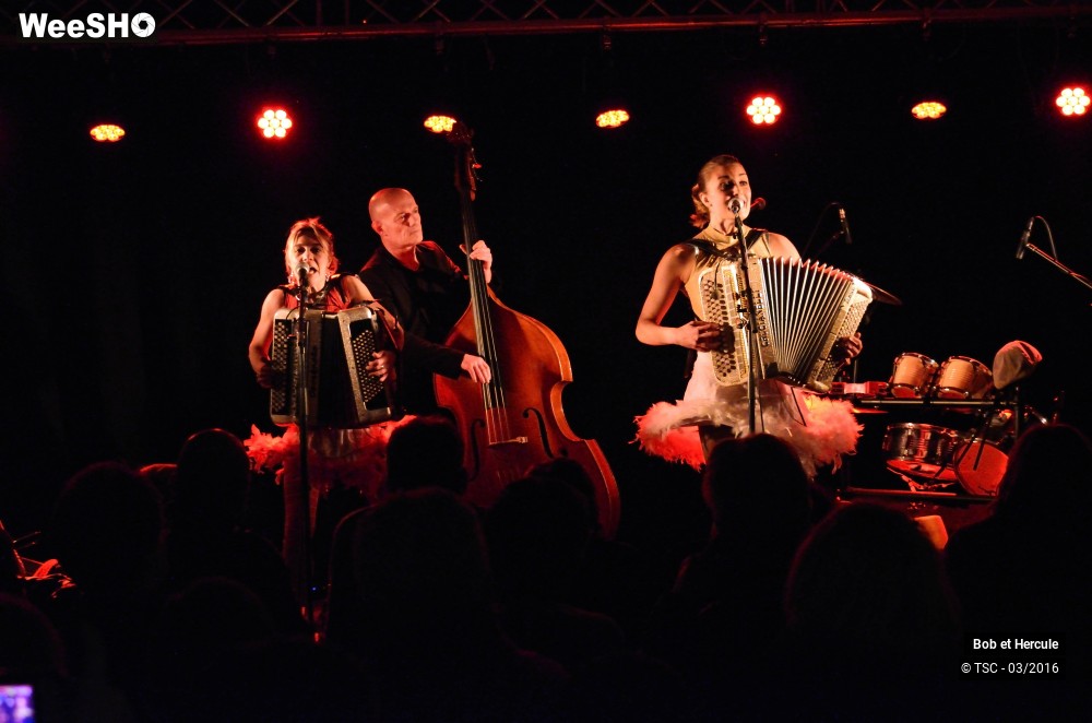 15/19 photos du spectacle Bob et Hercule
