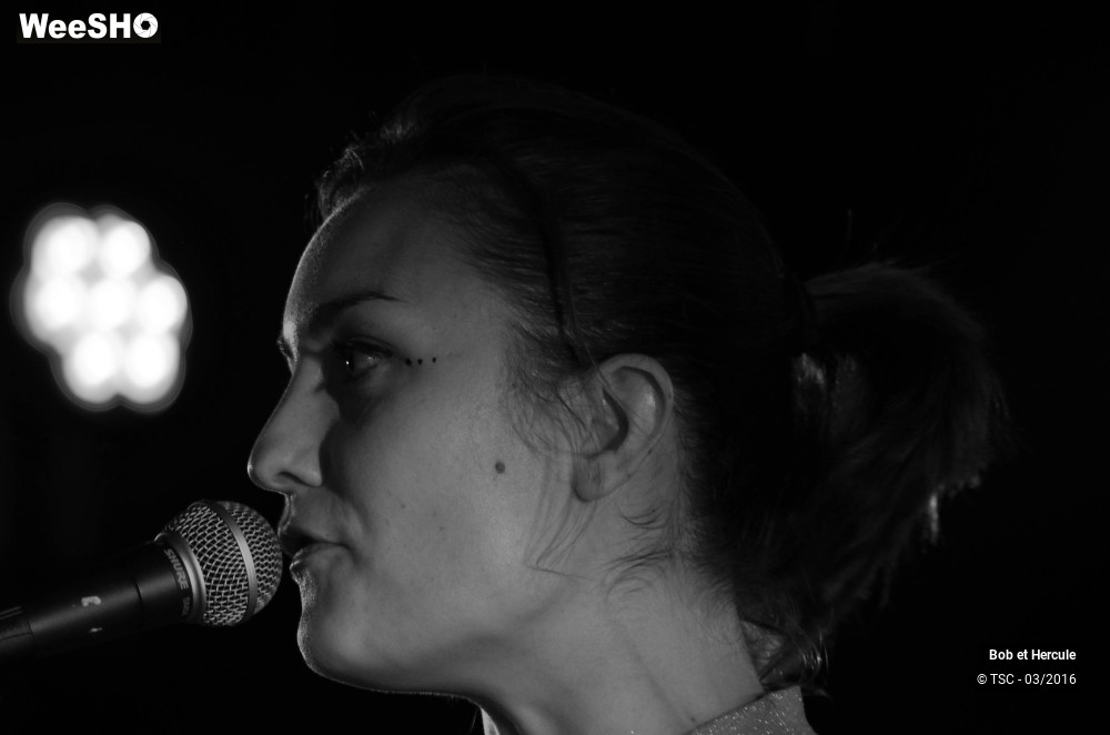 17/19 photos du spectacle Bob et Hercule