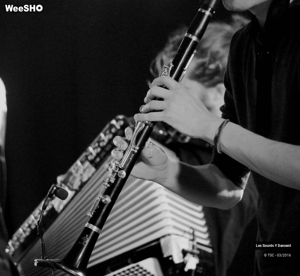 12/14 photos du spectacle Les sourds y dansent