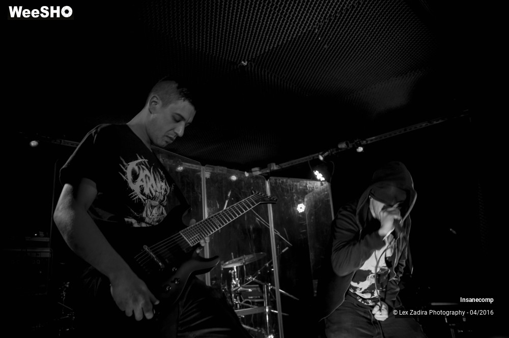 3/10 photos du spectacle Insanecomp