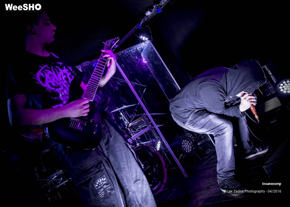 10/10 photos du spectacle Insanecomp