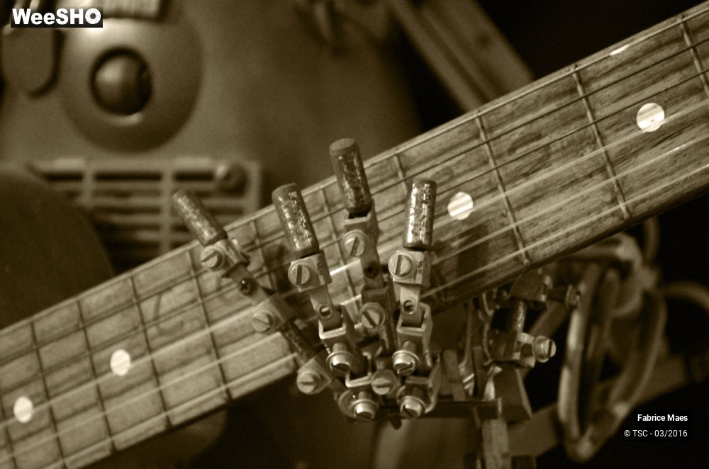 2/21 photos du spectacle Exposition du Sculpteur Fabrice Maes 