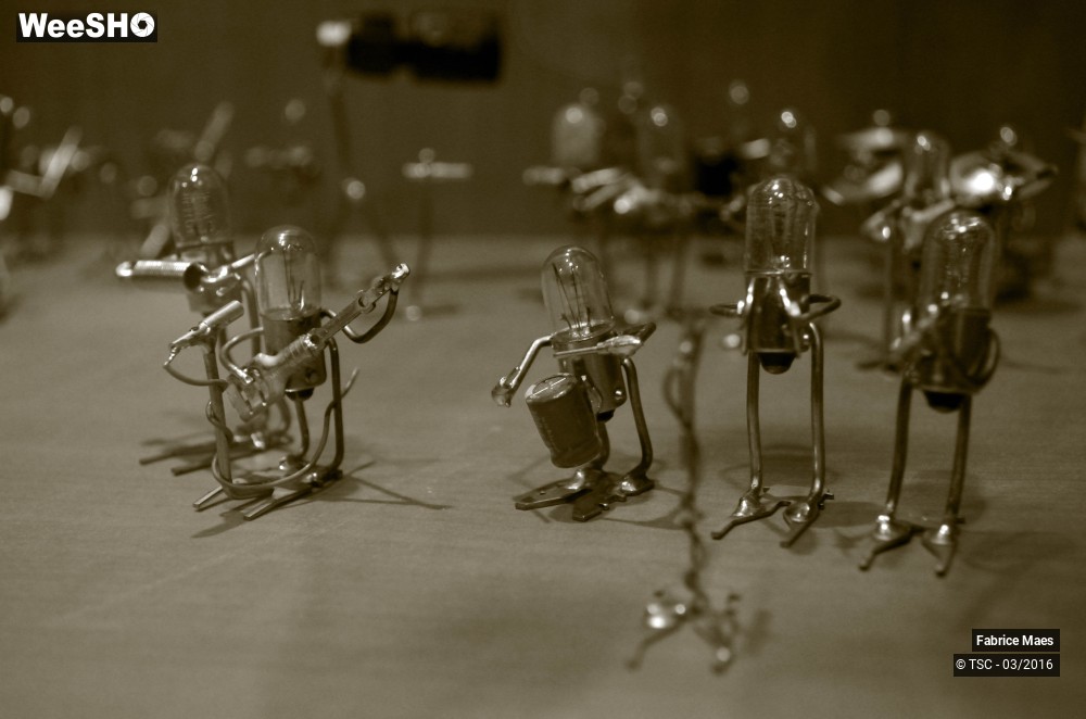 3/21 photos du spectacle Exposition du Sculpteur Fabrice Maes 