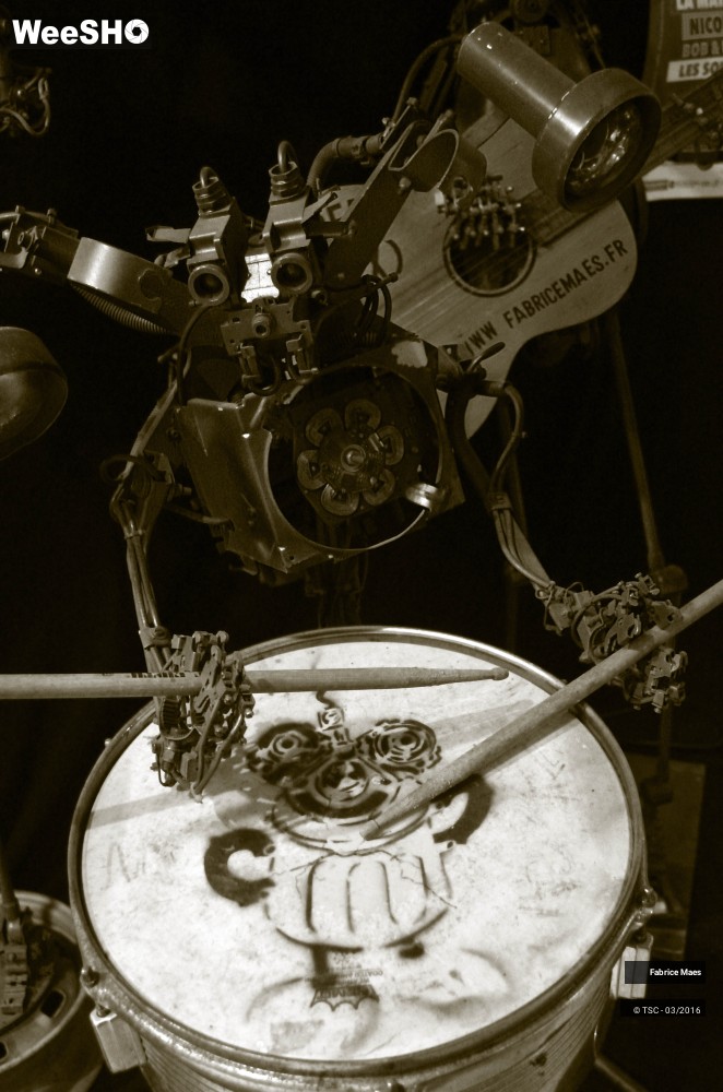 6/21 photos du spectacle Exposition du Sculpteur Fabrice Maes 