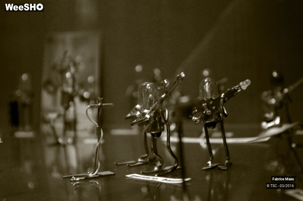 17/21 photos du spectacle Exposition du Sculpteur Fabrice Maes 