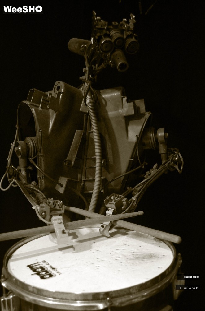 19/21 photos du spectacle Exposition du Sculpteur Fabrice Maes 