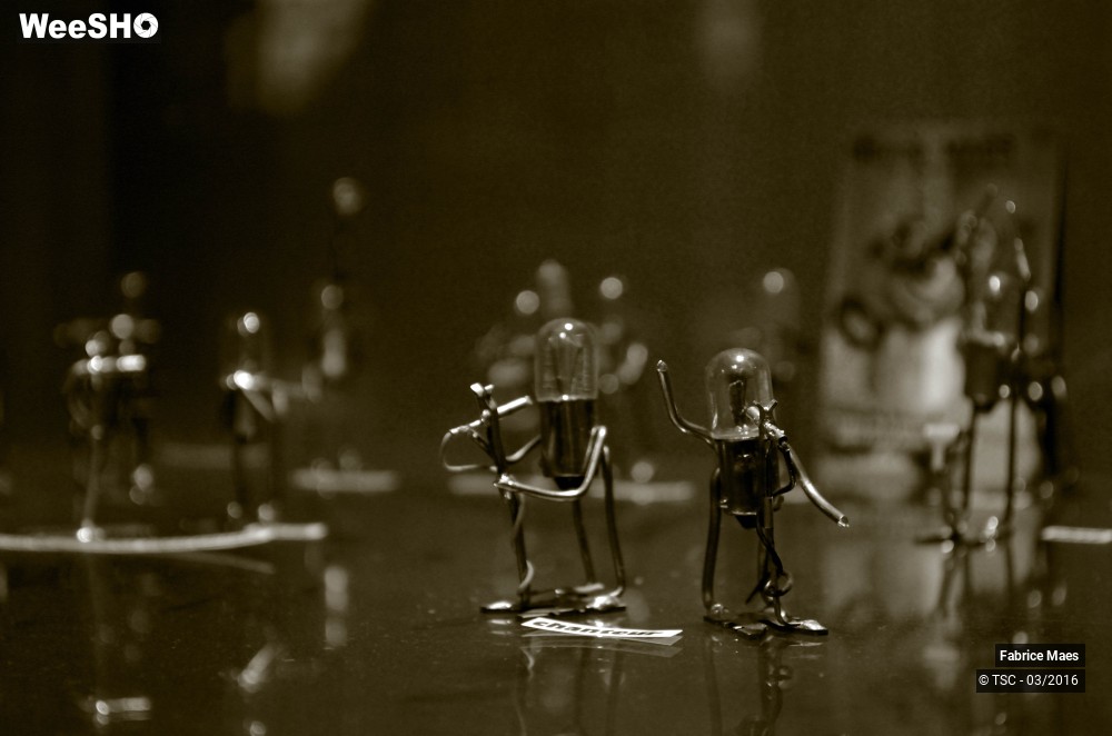 20/21 photos du spectacle Exposition du Sculpteur Fabrice Maes 