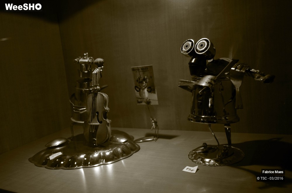 21/21 photos du spectacle Exposition du Sculpteur Fabrice Maes 