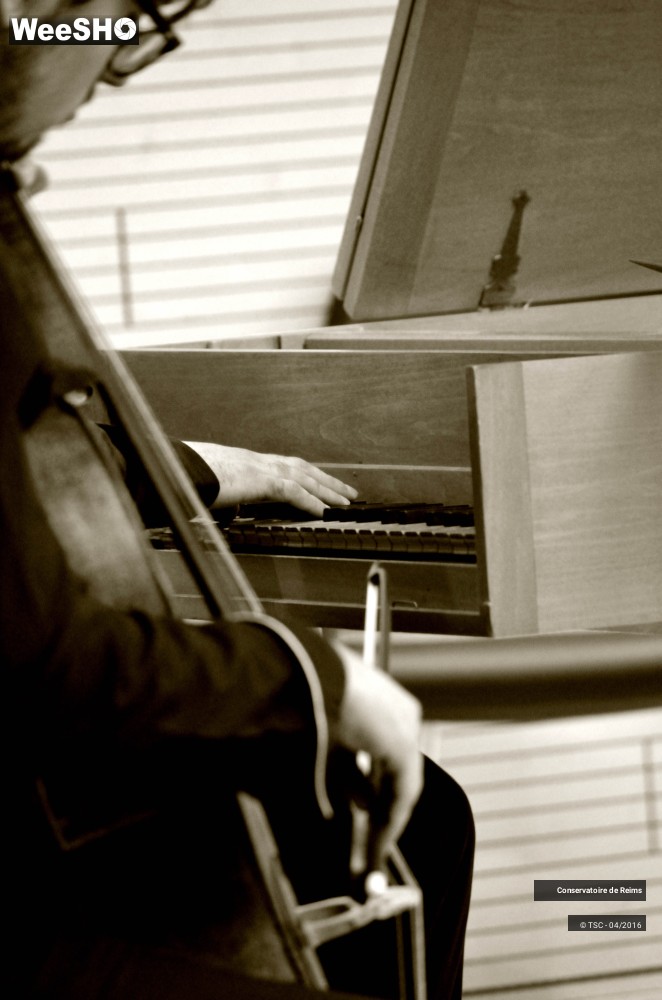 15/15 photos du spectacle Midi-concert