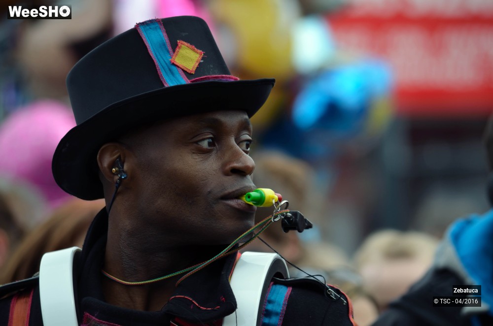 17/29 photos du spectacle Déambulation musicale percussive