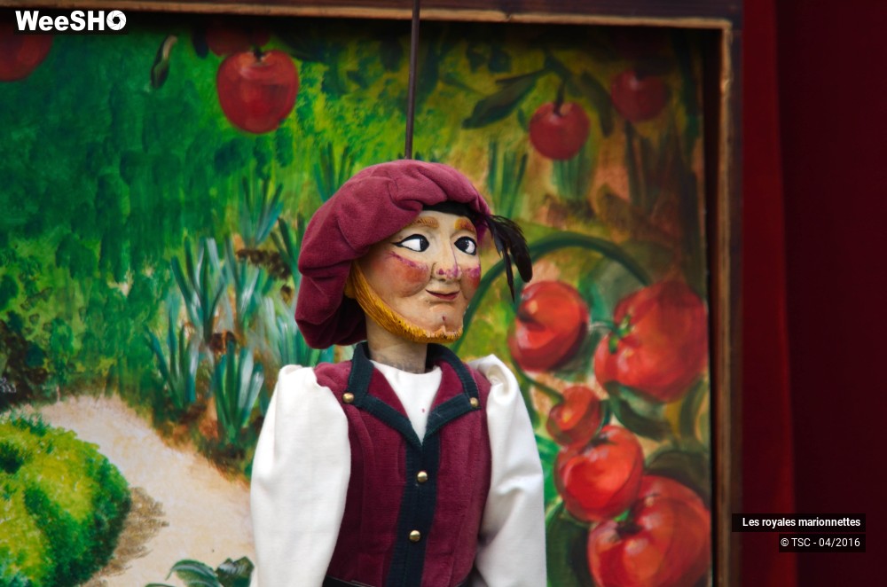 3/18 photos du spectacle Fraise au balcon