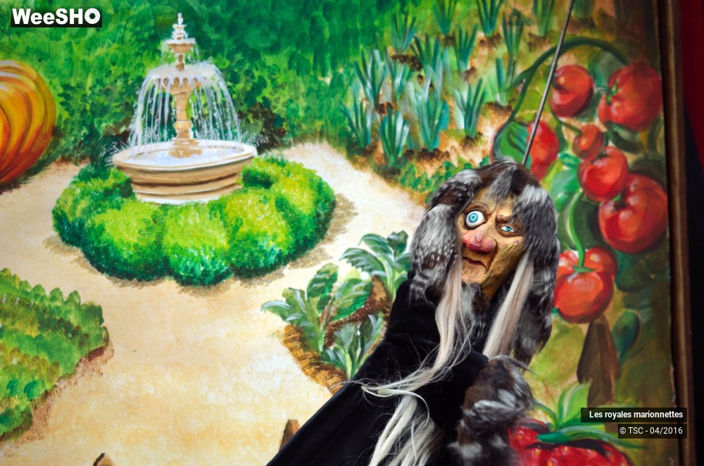 16/18 photos du spectacle Fraise au balcon