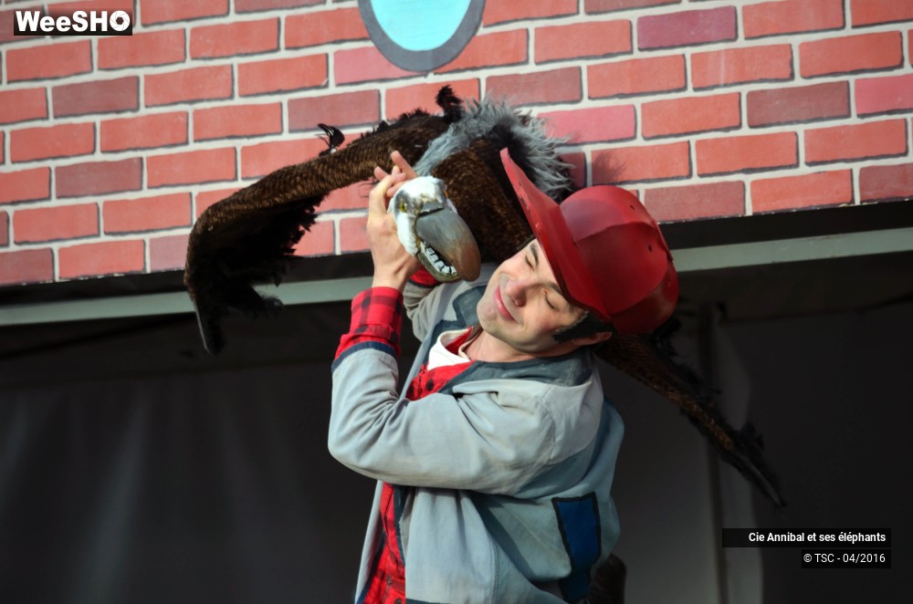 5/30 photos du spectacle Economic strip