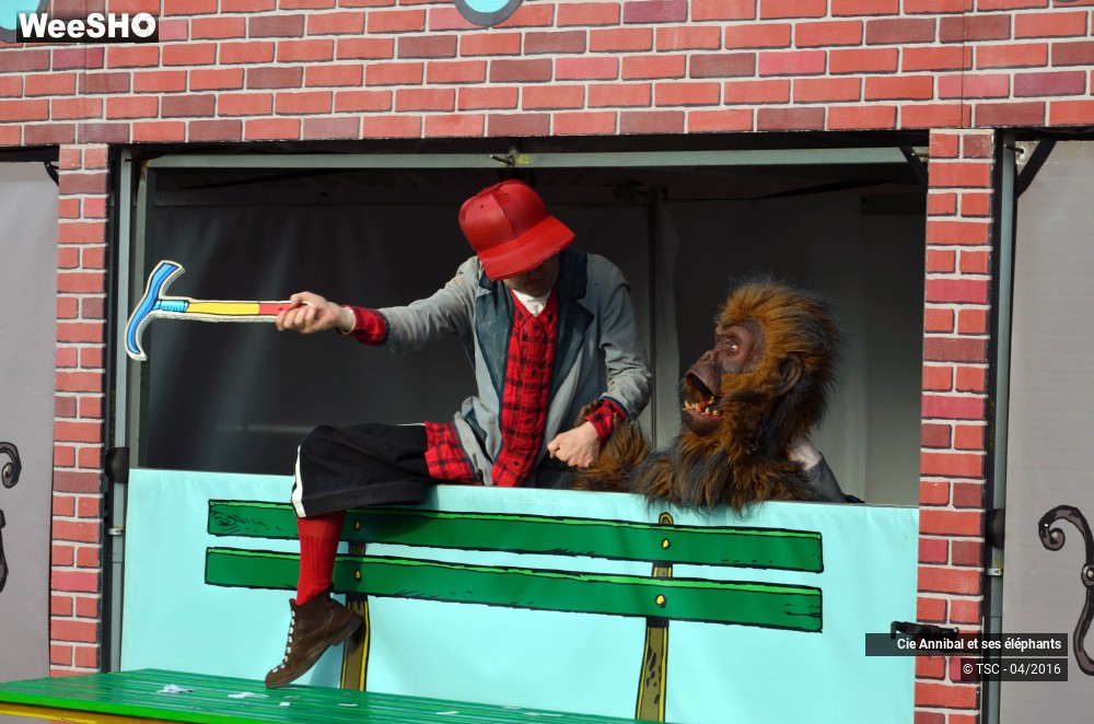 8/30 photos du spectacle Economic strip