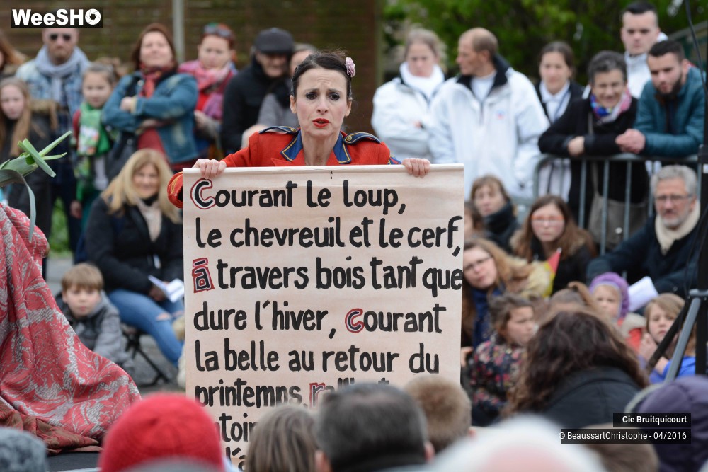 40/42 photos du spectacle The King of The Kingdom