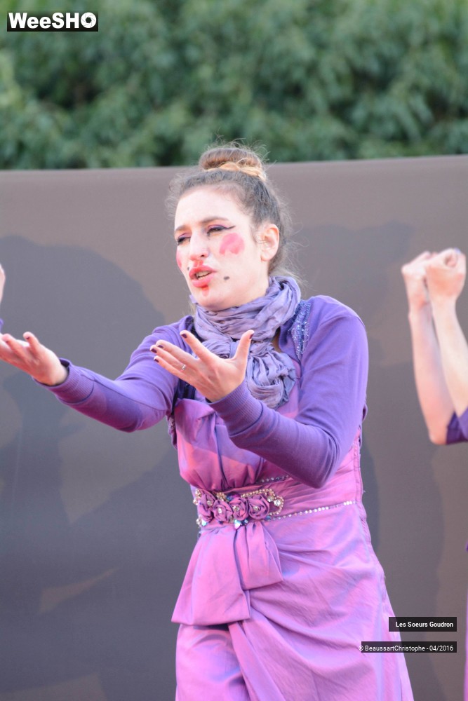 1/44 photos du spectacle Dames de France