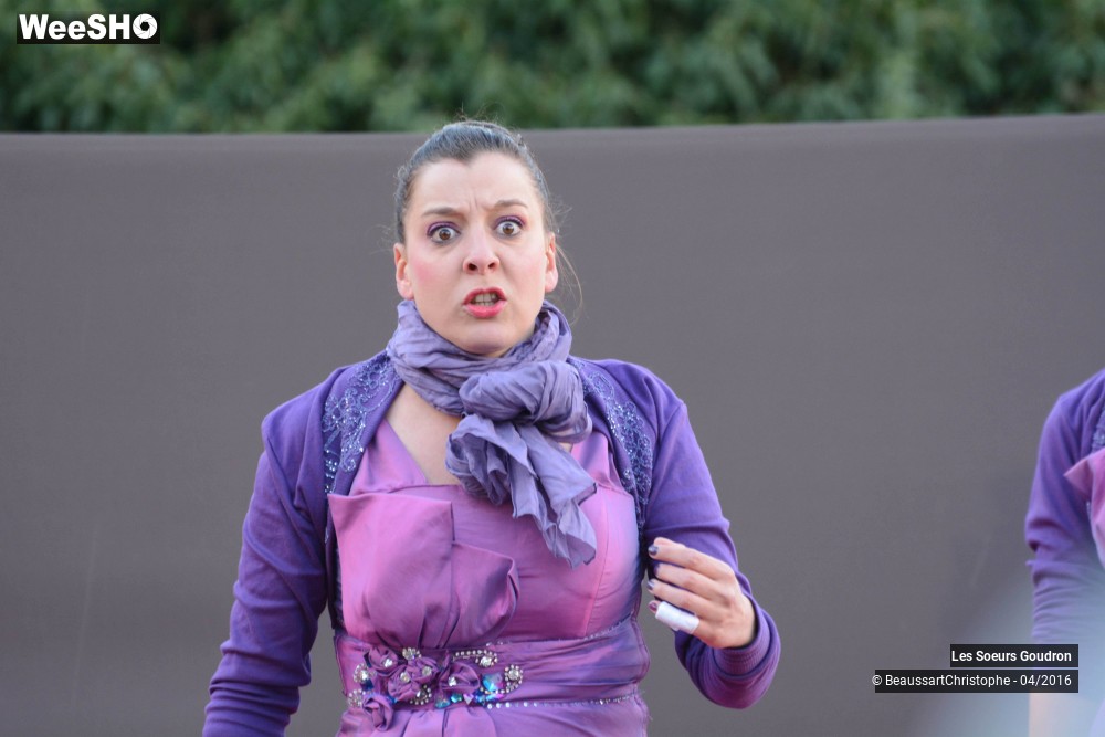 33/44 photos du spectacle Dames de France