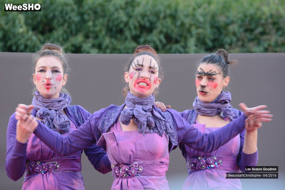 36/44 photos du spectacle Dames de France