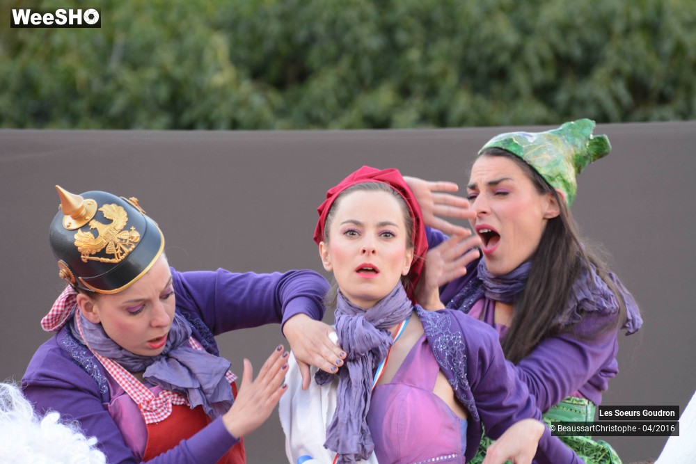 37/44 photos du spectacle Dames de France