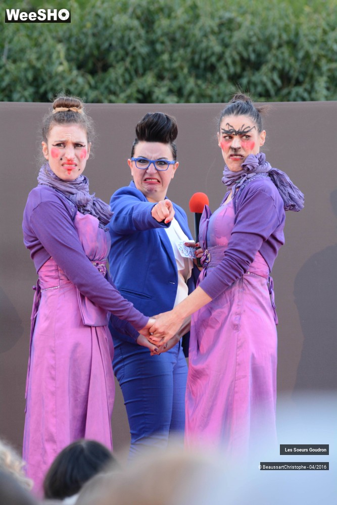 40/44 photos du spectacle Dames de France