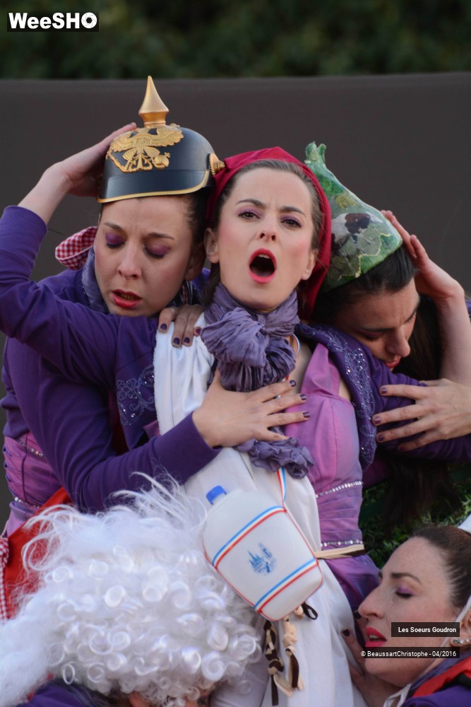 41/44 photos du spectacle Dames de France