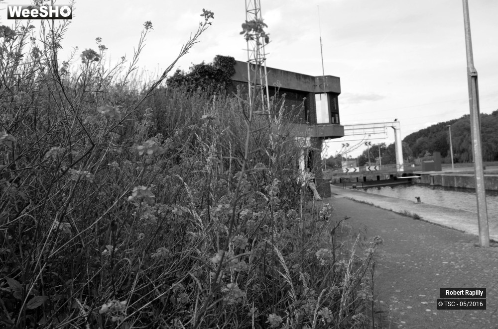 1/50 photos du spectacle L´escaut et le travail