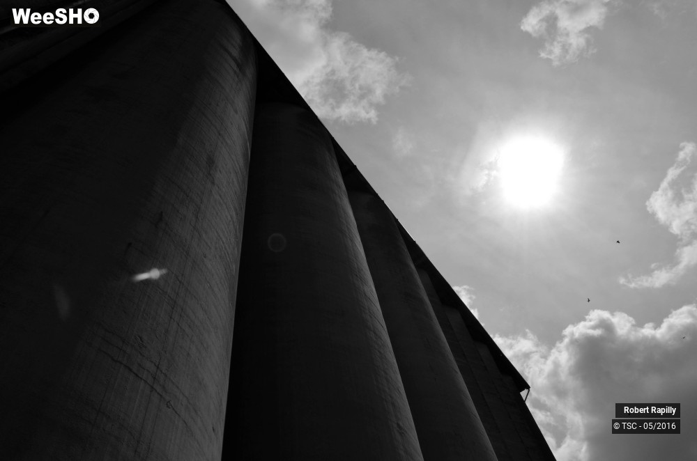 4/50 photos du spectacle L´escaut et le travail