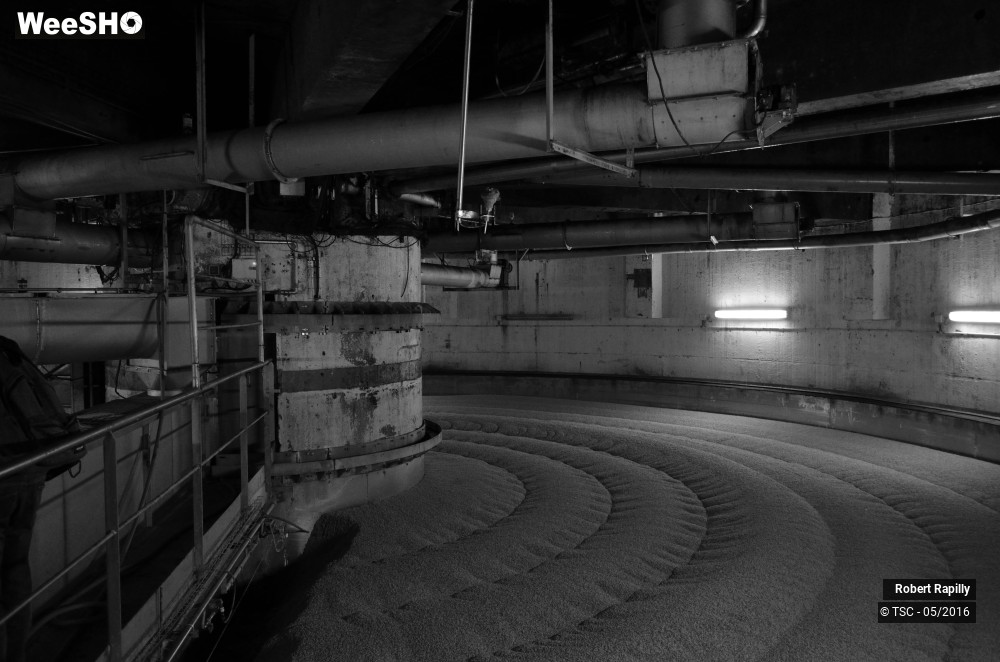 6/50 photos du spectacle L´escaut et le travail