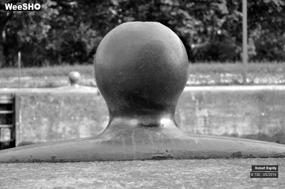 7/50 photos du spectacle L´escaut et le travail