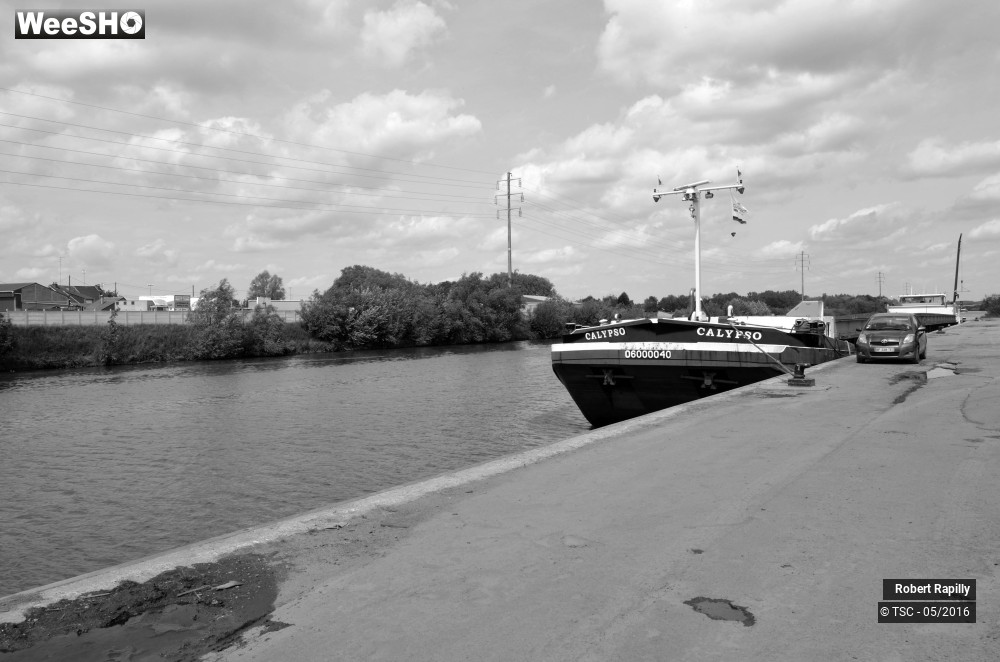 8/50 photos du spectacle L´escaut et le travail