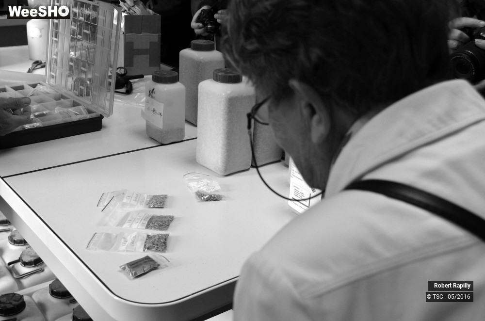 15/50 photos du spectacle L´escaut et le travail