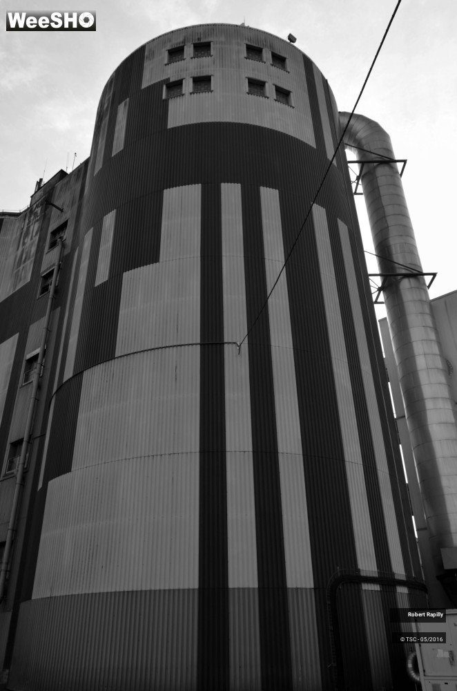 17/50 photos du spectacle L´escaut et le travail