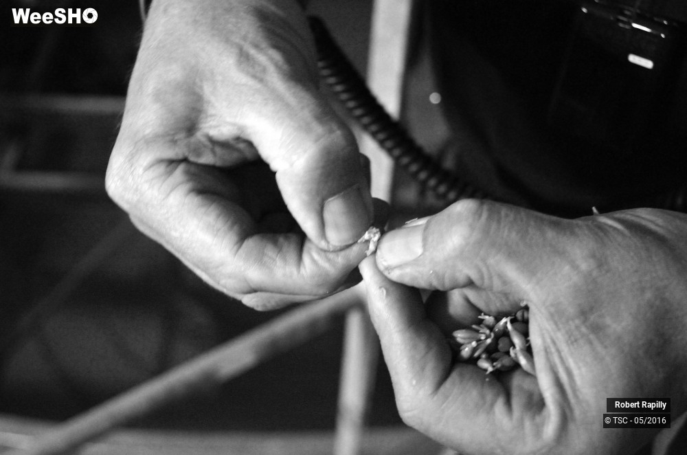 21/50 photos du spectacle L´escaut et le travail