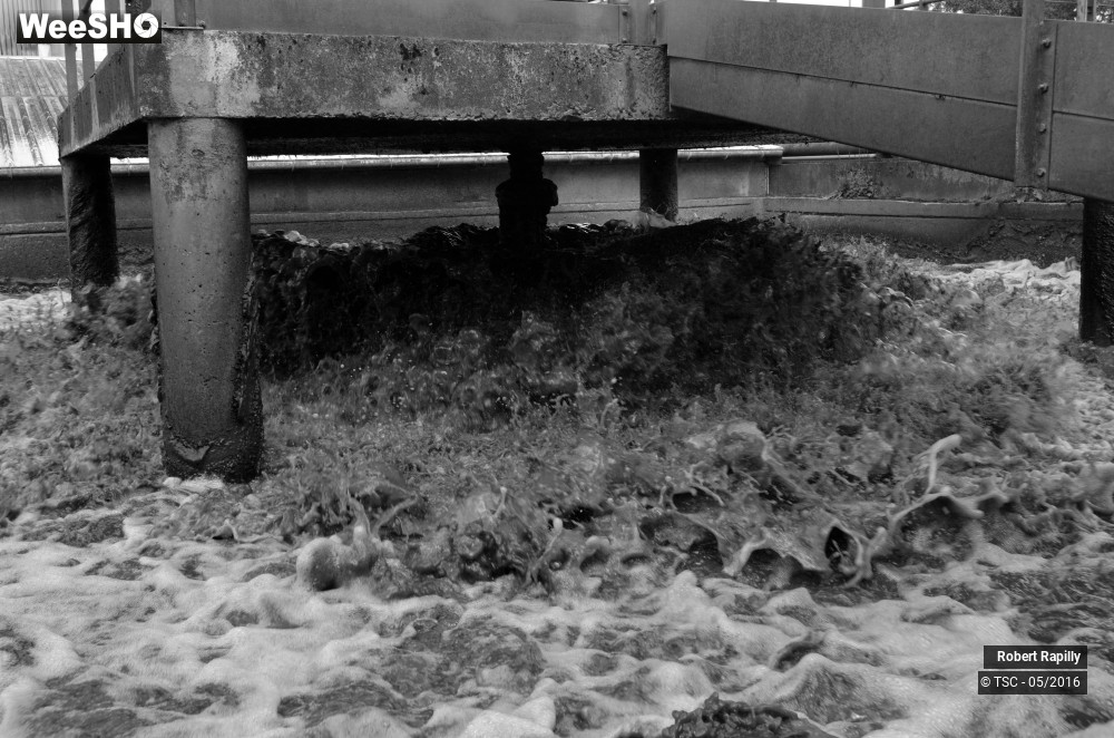 23/50 photos du spectacle L´escaut et le travail