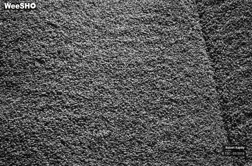 24/50 photos du spectacle L´escaut et le travail