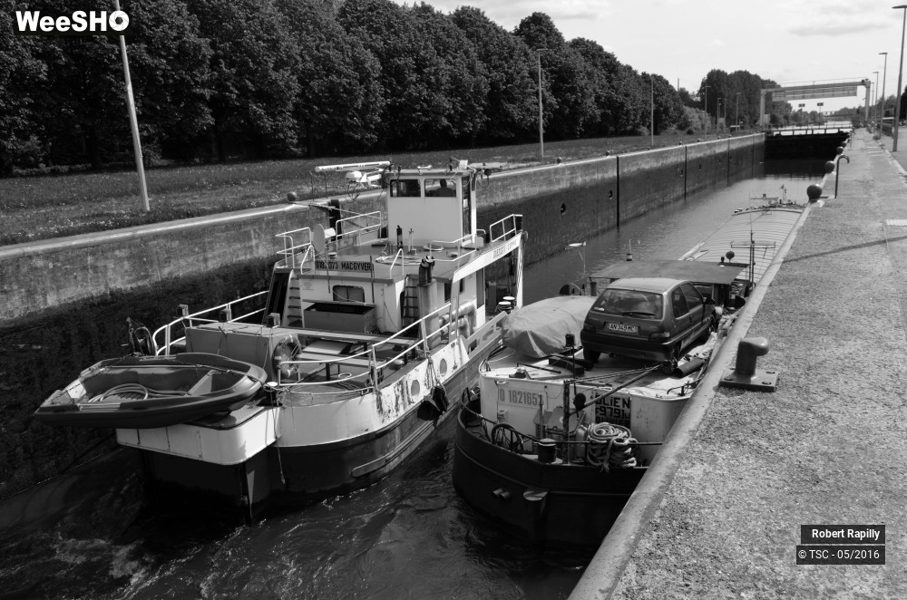 25/50 photos du spectacle L´escaut et le travail