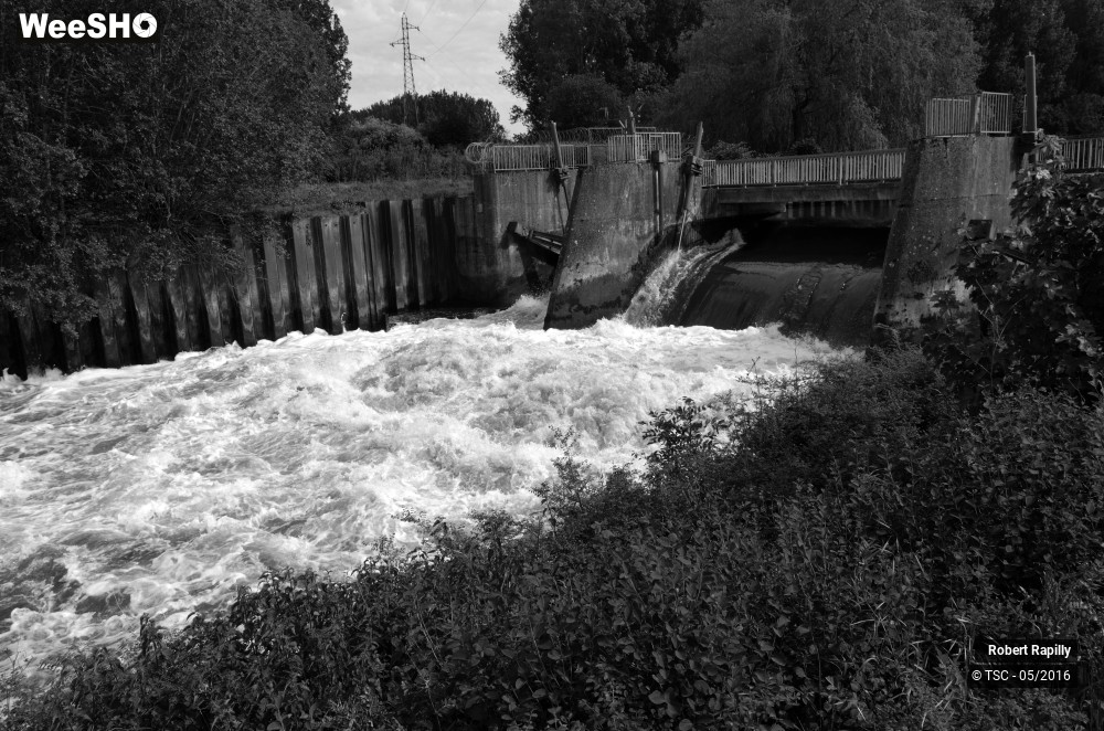 26/50 photos du spectacle L´escaut et le travail