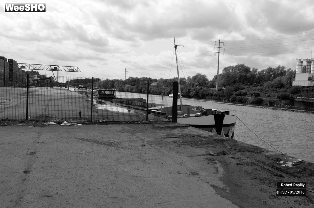 29/50 photos du spectacle L´escaut et le travail