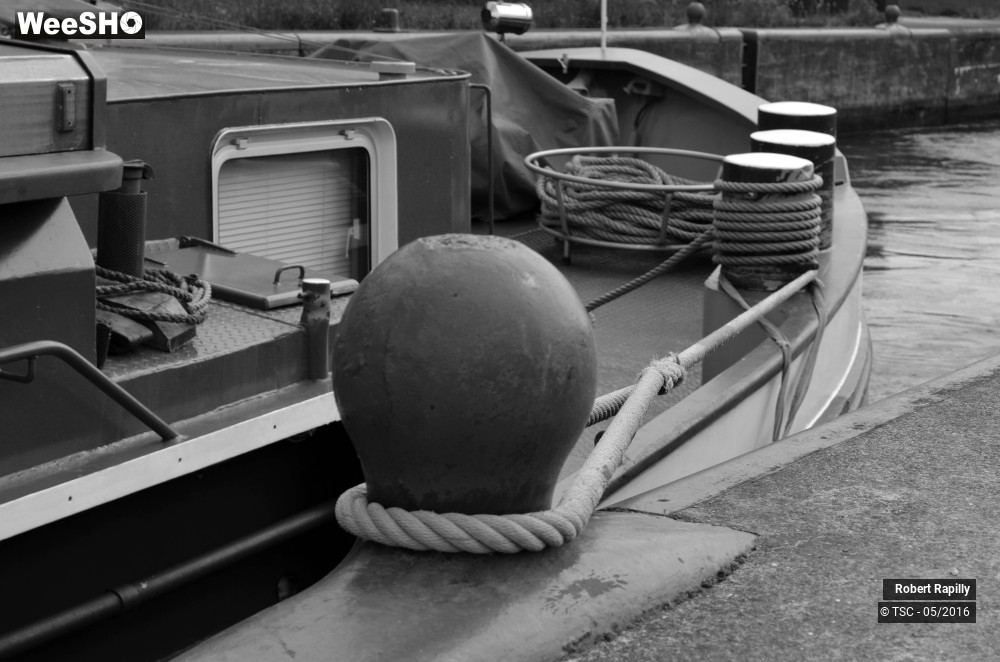 31/50 photos du spectacle L´escaut et le travail