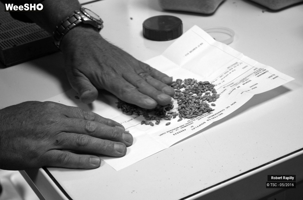 32/50 photos du spectacle L´escaut et le travail