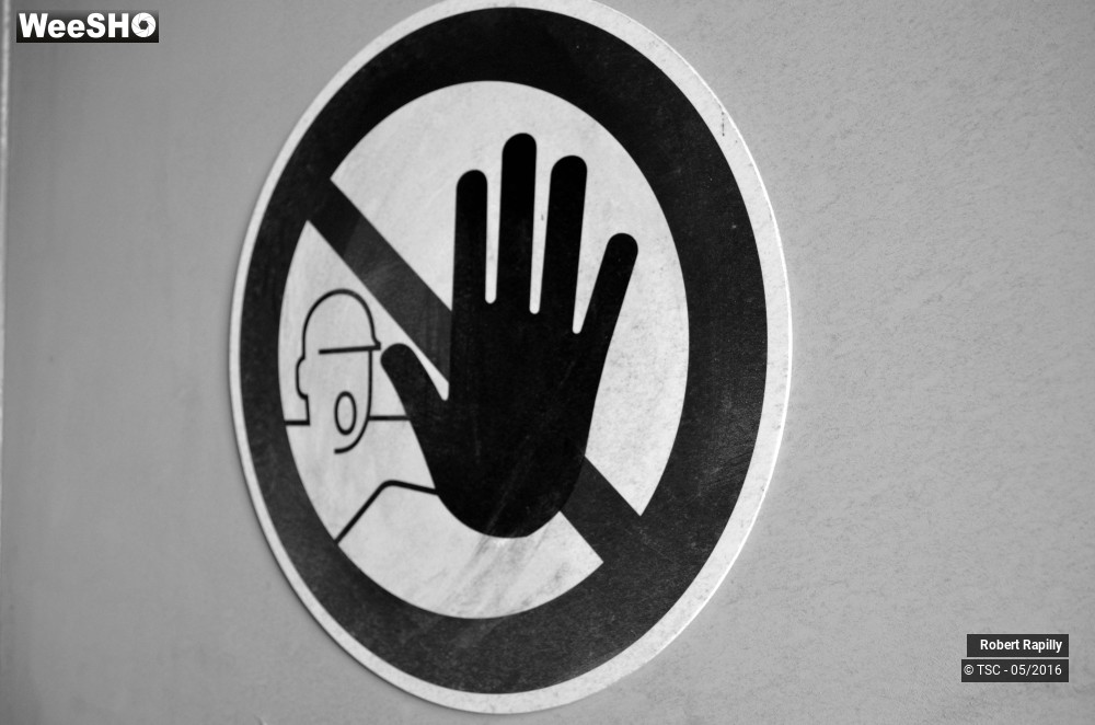 36/50 photos du spectacle L´escaut et le travail