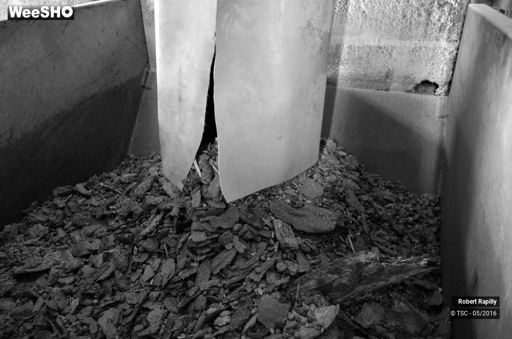 38/50 photos du spectacle L´escaut et le travail