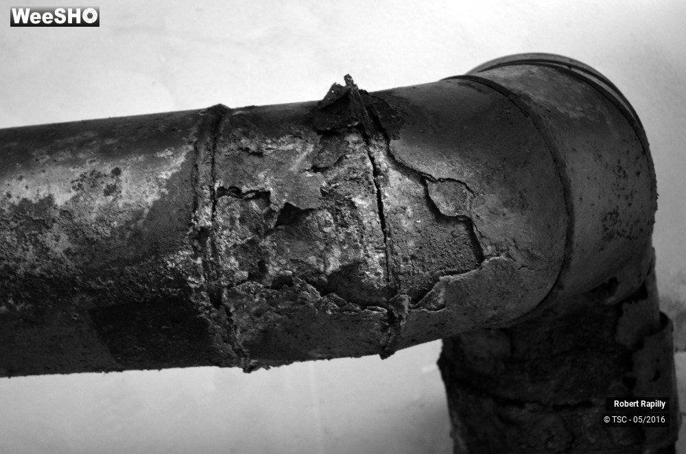 45/50 photos du spectacle L´escaut et le travail