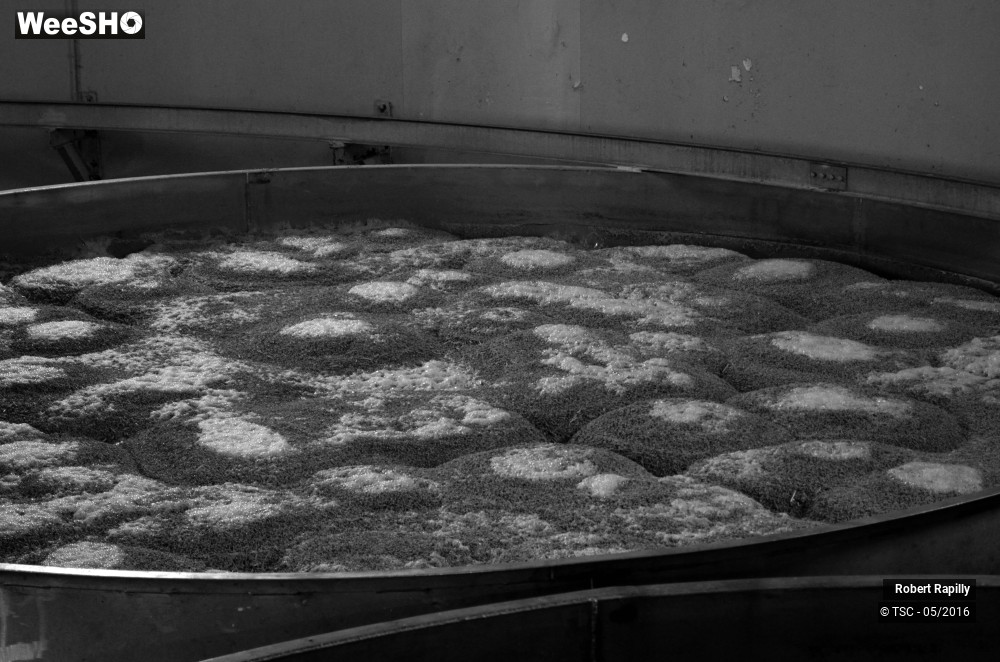 48/50 photos du spectacle L´escaut et le travail