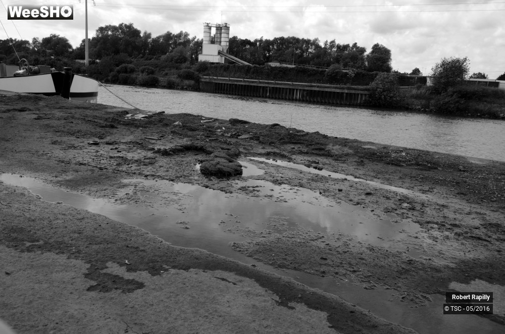 50/50 photos du spectacle L´escaut et le travail