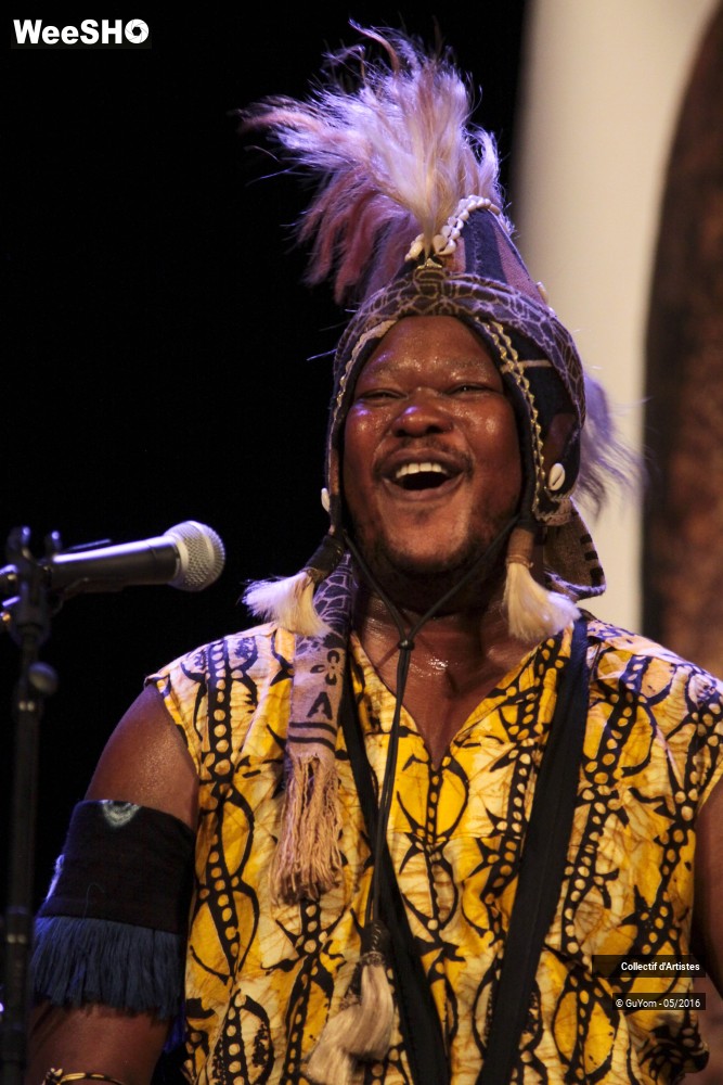 1/38 photos du spectacle Big Bal Africain Musique