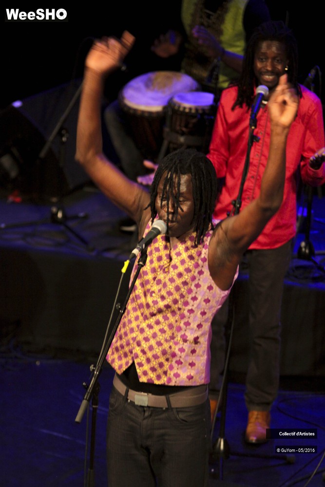 22/38 photos du spectacle Big Bal Africain Musique