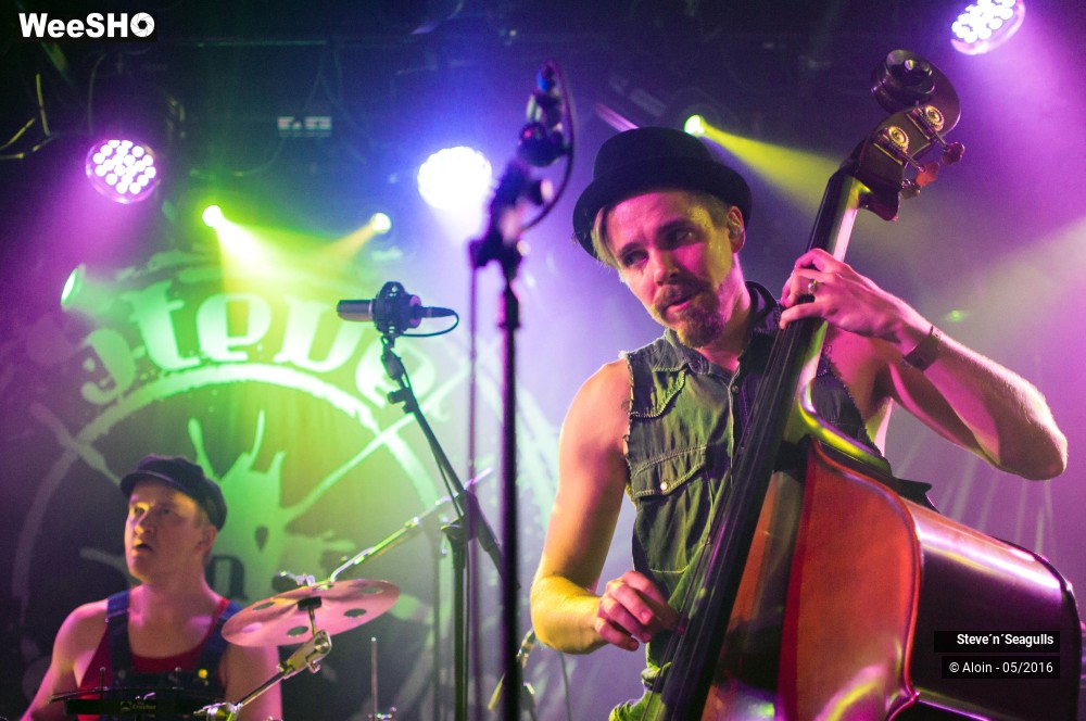 1/12 photos du spectacle Stev ?n? seagulls